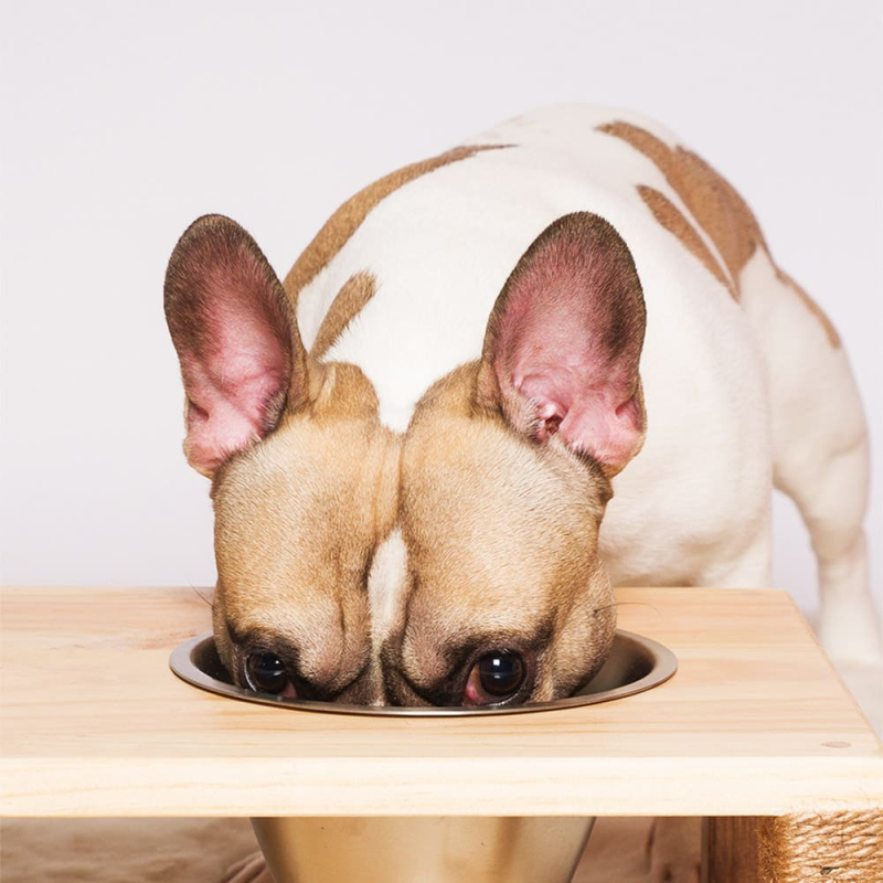 Riche en protéines de lai, en minéraux et nutrments naturels.