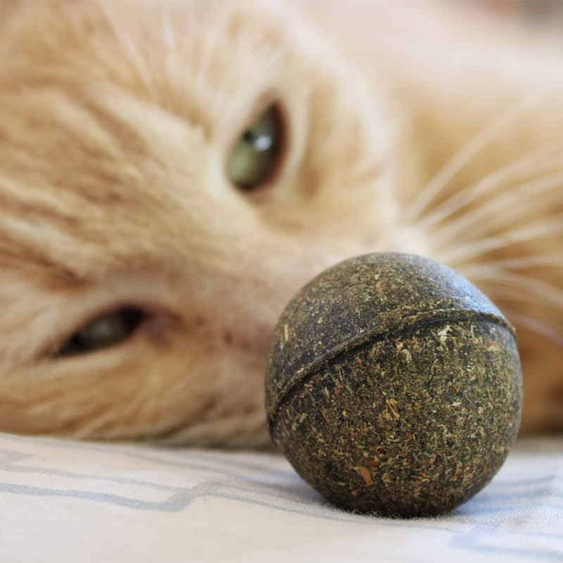 Boulette : Balle de cataire : herbe aux chats euphorisante