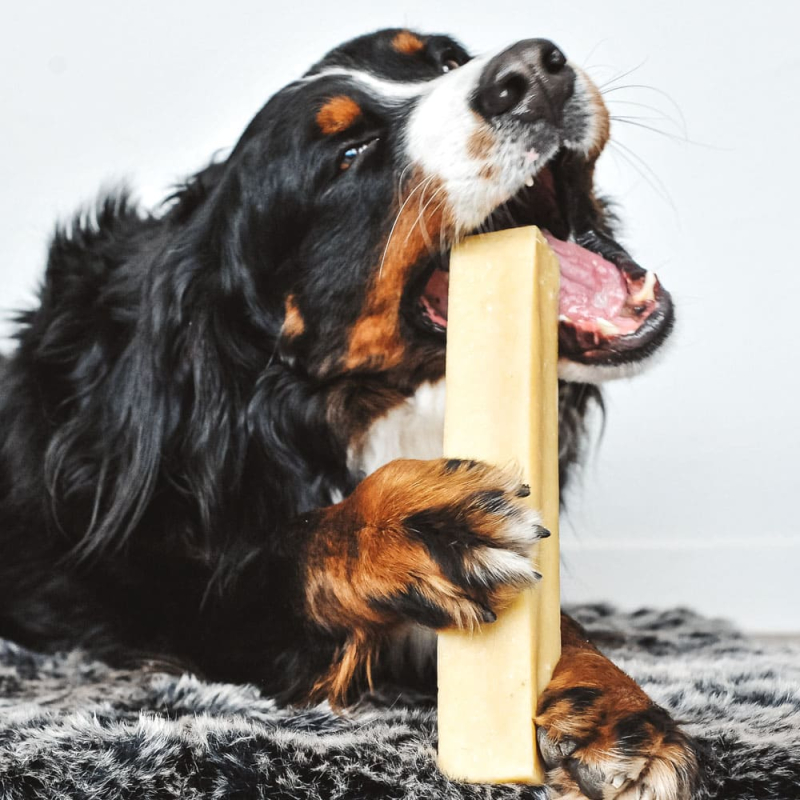 Idéal pour les chiens gourmands qui ont du tartre