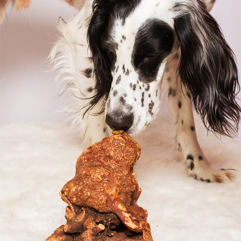 La racine peut "s'aromatiser" en la laissant une nuit dans les croquettes, dans de la sauce ou du bouillon !
