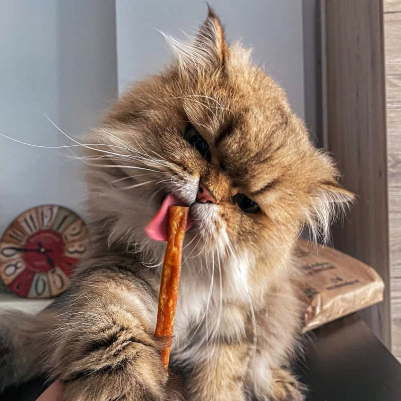 Ces friandises pour animaux favorisent la vitalité et l'énergie.