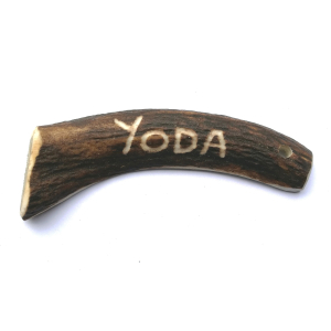 bois de cerf entier gravé