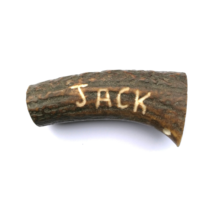 bois de cerf tranché gravé