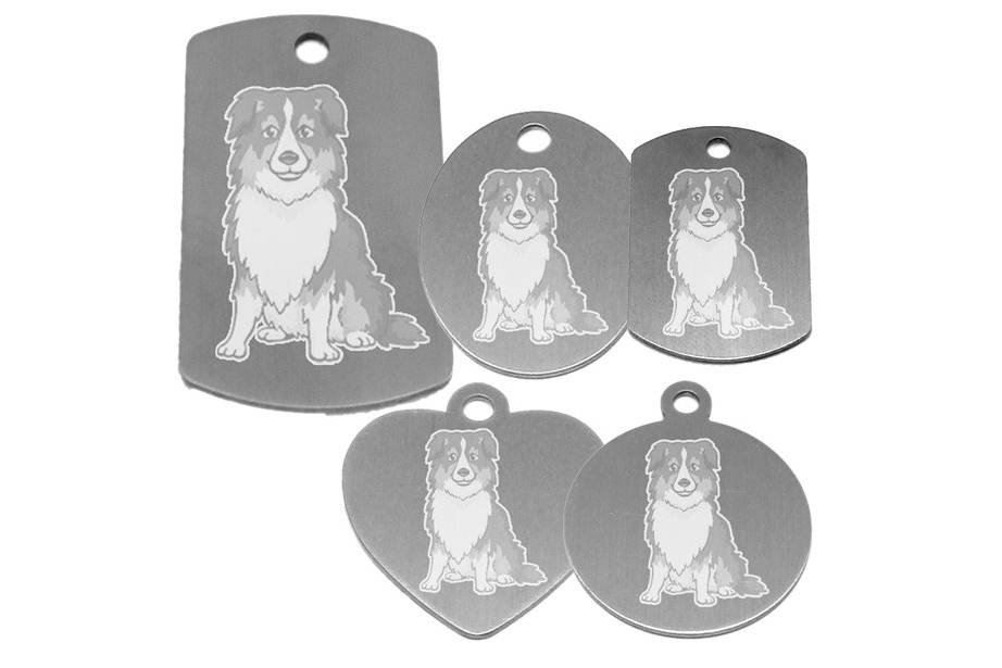 médaille pour collier de chien dessin d'un berger australien