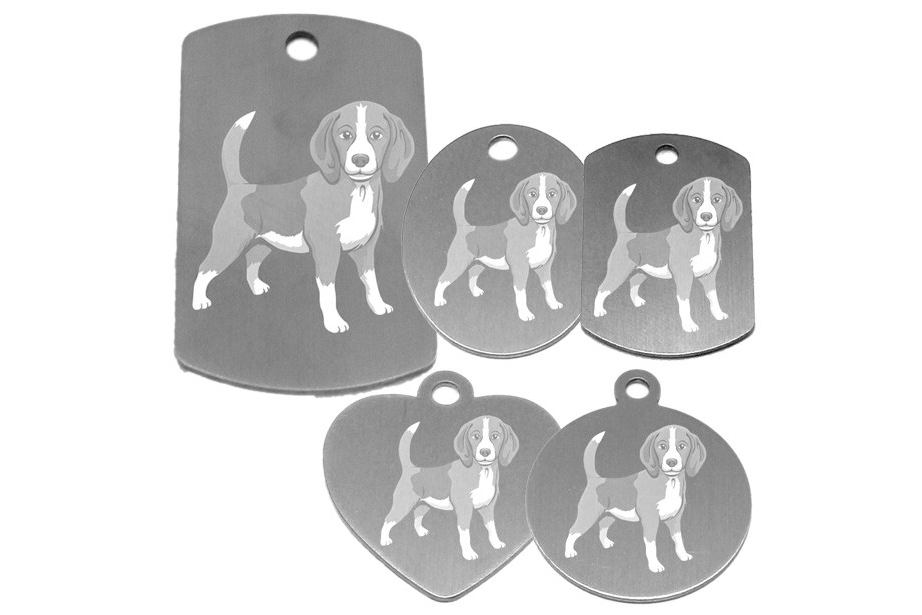 médaille pour collier de chien dessin d'un beagle