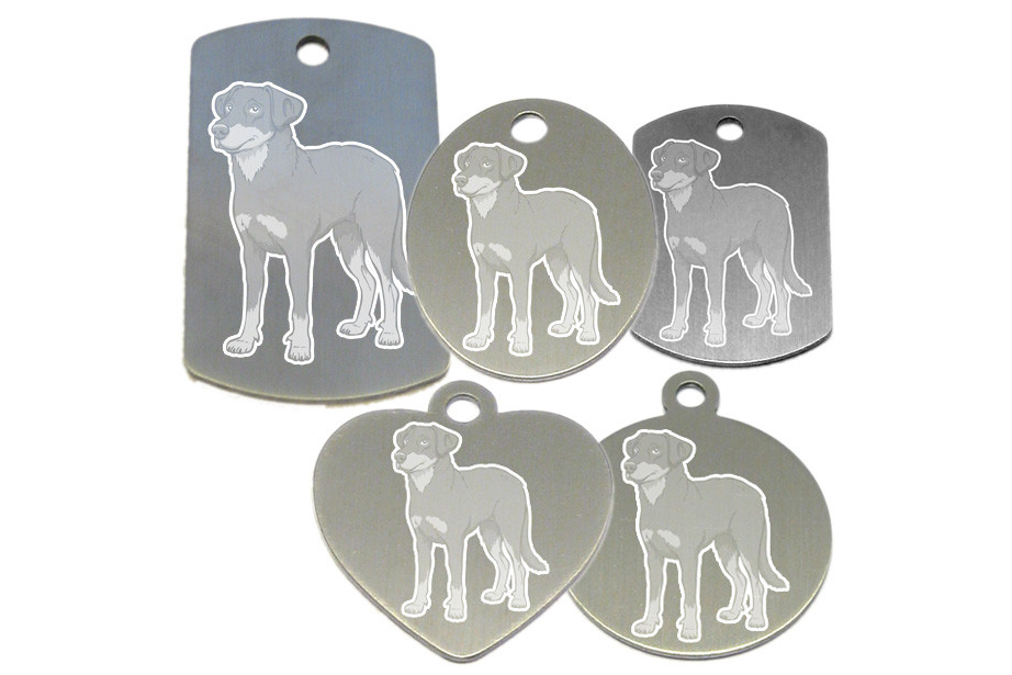 médaille pour collier de chien dessin d'un beauceron