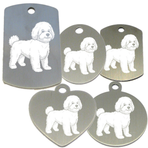 médaille pour collier de chien dessin d'un bichon
