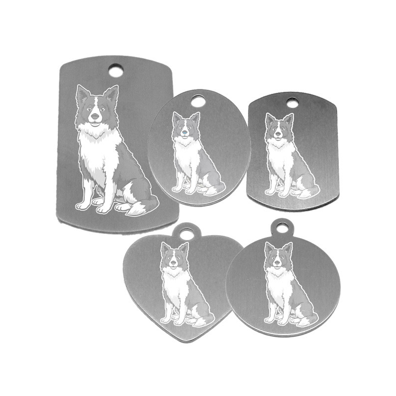 médaille pour collier de chien dessin d'un border collie
