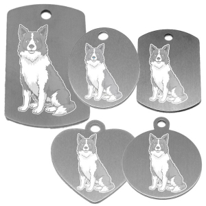 médaille pour collier de chien dessin d'un border collie
