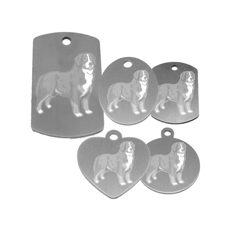 médaille pour collier de chien dessin d'un bouvier bernois