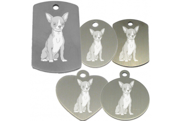 médaille pour collier de chien dessin d'un chiwawa