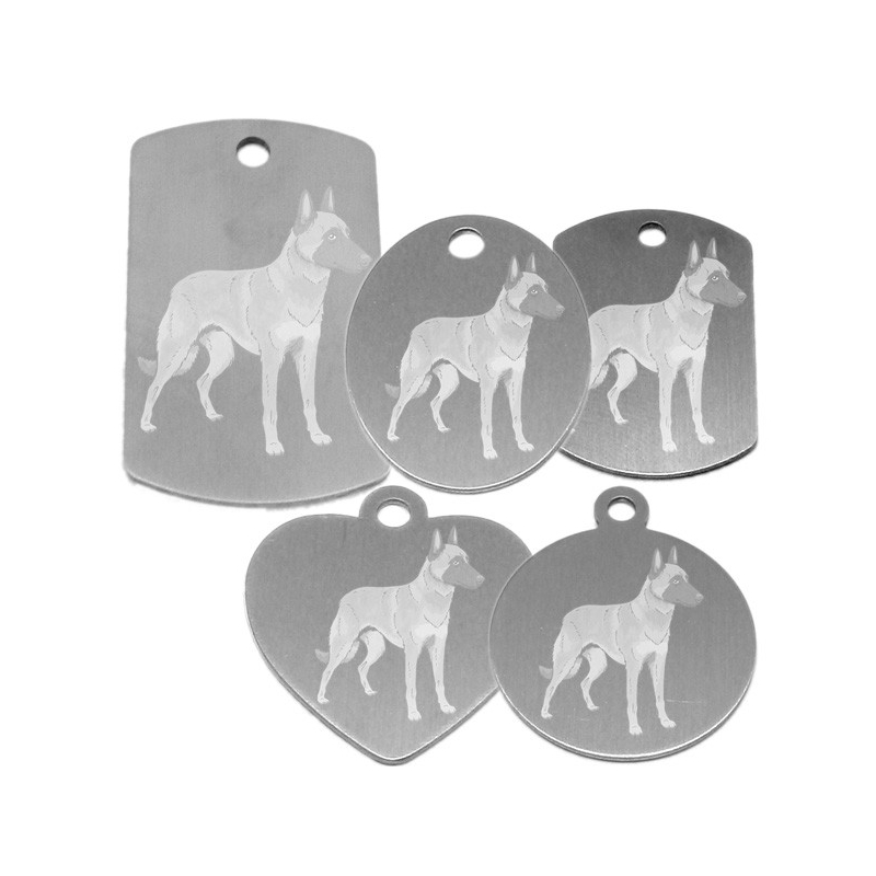 médaille pour collier de chien dessin d'un malinois