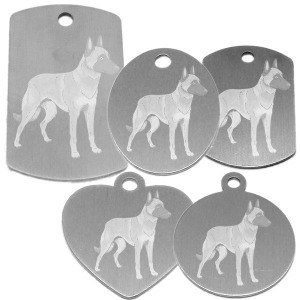 médaille pour collier de chien dessin d'un malinois