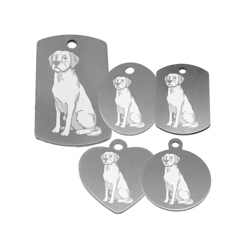 médaille pour collier de chien dessin d'un labrador