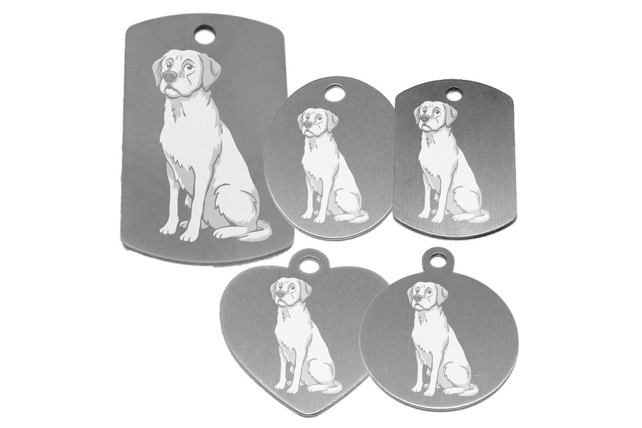 médaille pour collier de chien dessin d'un labrador