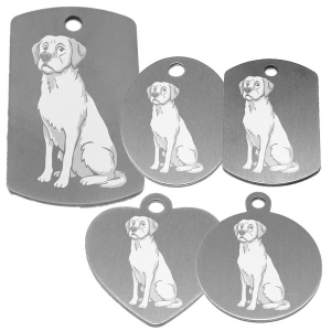médaille pour collier de chien dessin d'un labrador