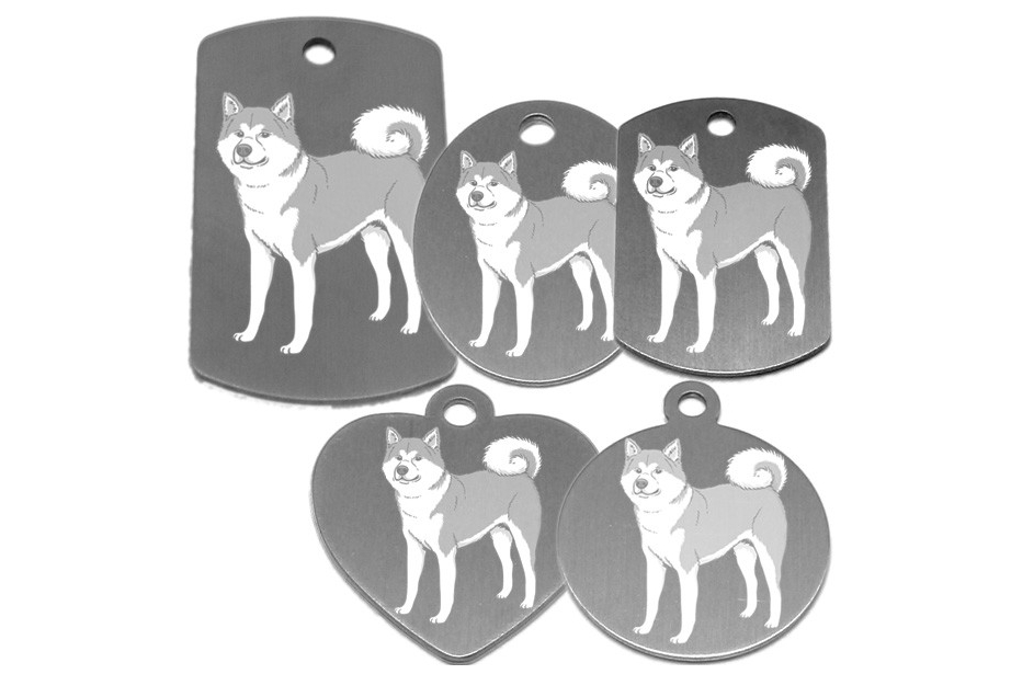 médaille pour collier de chien dessin d'un akita