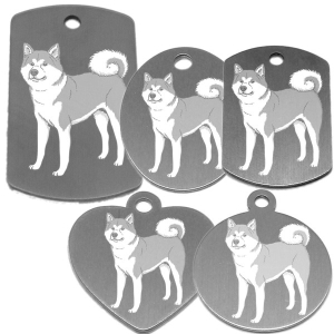 médaille pour collier de chien dessin d'un akita