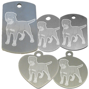 médaille pour collier de chien dessin d'un Rottweiller