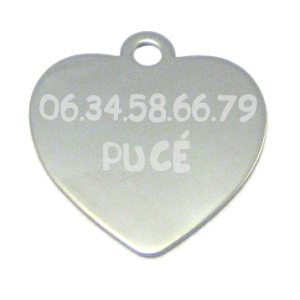 médaille pour animal de compagnie en acier inoxydable 