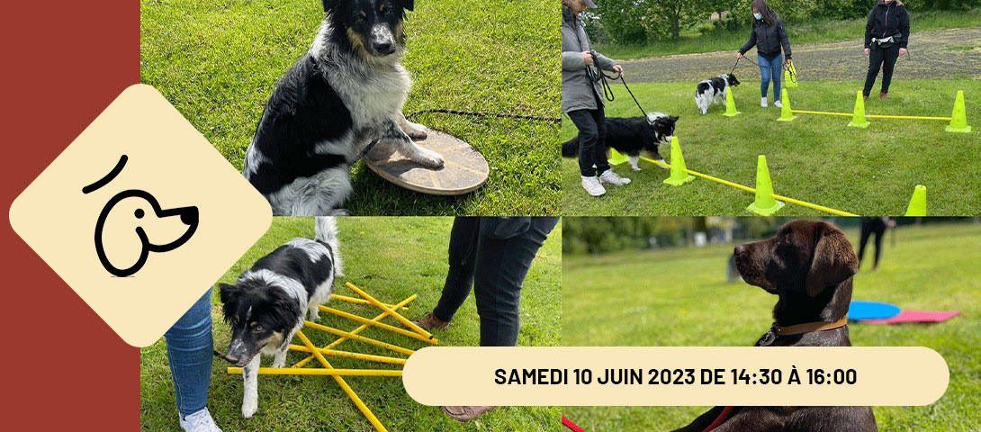 ATELIER PROPRIOCEPTION / FITNESS CANIN