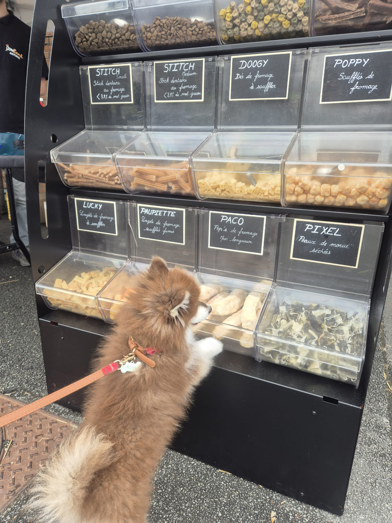 Bar à friandise pour chien