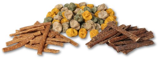 Friandises, récompenses naturelles